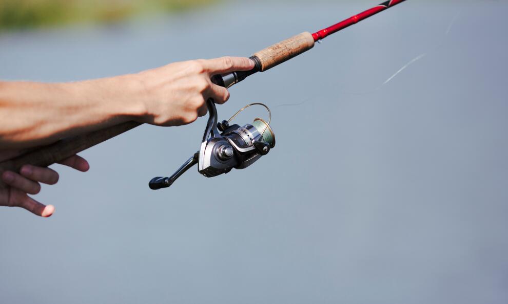 Peralatan Wajib untuk Galatama Lele agar Lebih Siap Juara