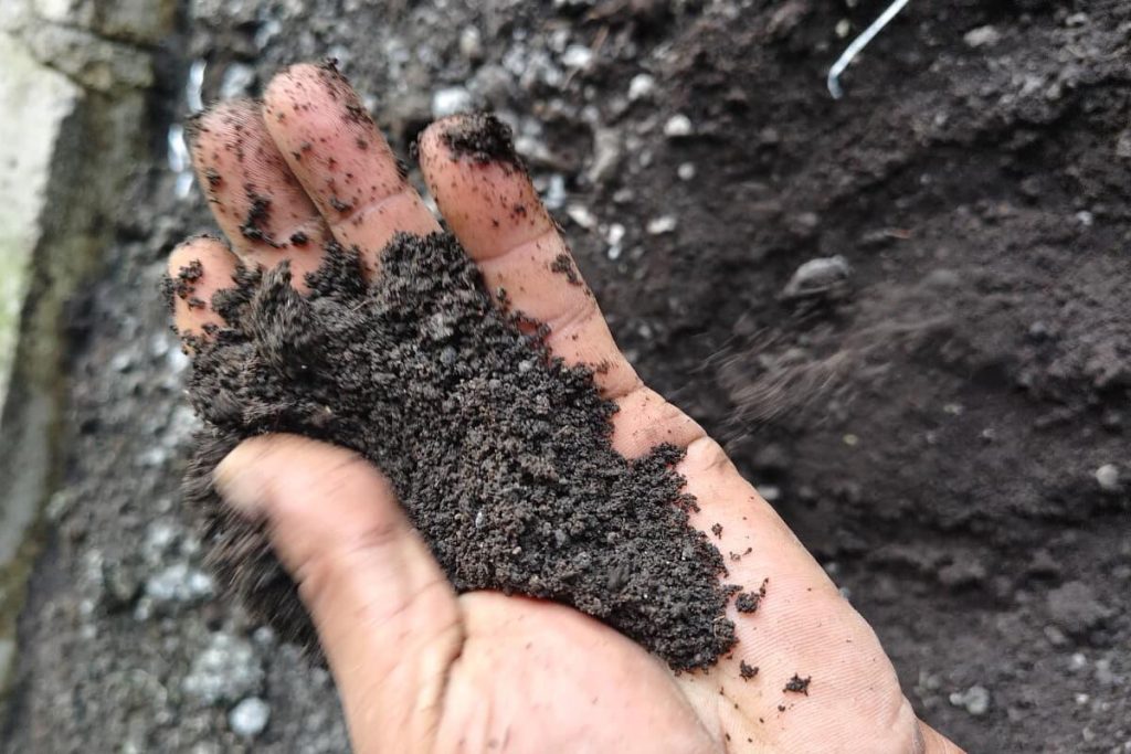 galeri cacing tanah 4