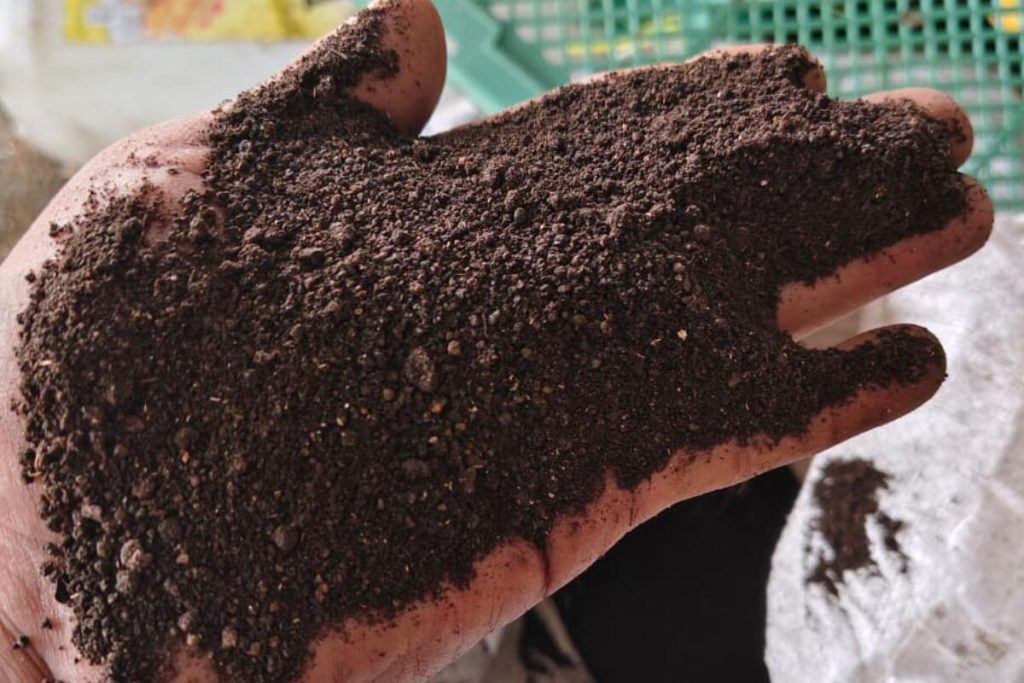 galeri cacing tanah 5