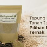 Ini Dia Alasan Tepung Cacing Tanah Jadi Pilihan Pakan Berkualitas
