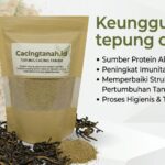 Keunggulan Tepung Cacing Tanah Dibanding Pakan Protein Lain