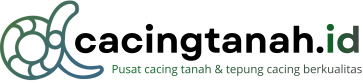 Cacingtanah.id