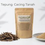 7 Manfaat Tepung Cacing Tanah yang Perlu Kamu Ketahui
